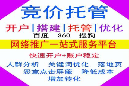 SEM公司案例分析：搜索引擎优化策略与执行